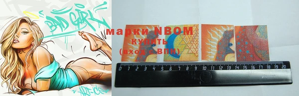 мдпв Новозыбков