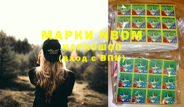 мдпв Новозыбков