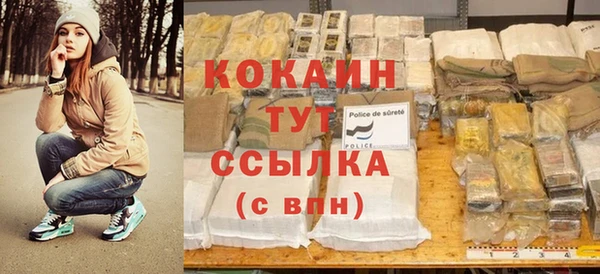 мдпв Новозыбков