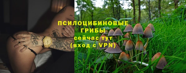 мдпв Новозыбков