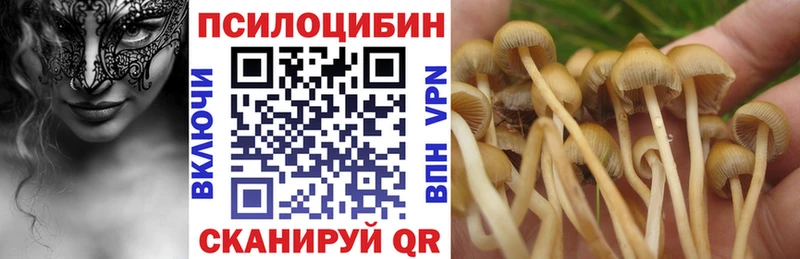 Галлюциногенные грибы мухоморы  ОМГ ОМГ ONION  Красноармейск 