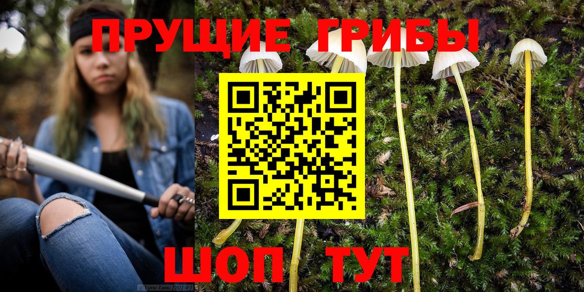 Красноармейск  Псилоцибиновые грибы GOLDEN TEACHER  Вход с VPN 