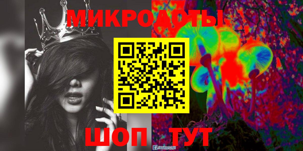 Галлюциногенные грибы Psilocybine cubensis Красноармейск