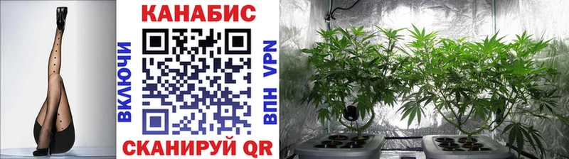 Канабис OG Kush  Красноармейск 