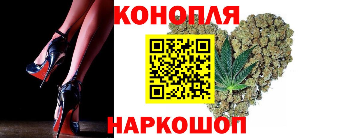 Канабис планчик  МАРИХУАНА план  Шишки марихуана THC 21%  Красноармейск 